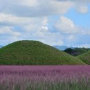 반남농장 이미지