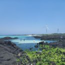 김녕해수욕장 이미지