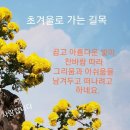 화요일 Daum카페