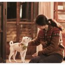 11월 추천영화 가을의 감성을 담은 로맨스 리틀 포레스트, 어바웃 타임