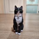 묘 미 앤 이미지