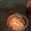 코리아마트서방점 | [ 전남 나주 ] 광주 근교 비토애 글램핑 솔직후기 : 내돈내산