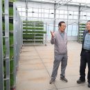 대산육묘장 이미지