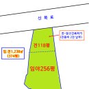 신북로2 이미지