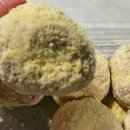 빵하루 | 대전 트레이더스 카스테라 찹쌀떡 크림빵 솔직 후기｜하루 3~4조각 먹어도 안 질리는 이유