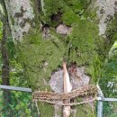 자봉마을회관 이미지