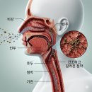 주식회사 핫한날 이미지