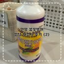 봄빛온누리약국 | 안양 봄빛병원 임당재검사 후 임당 확진 임당산모의 재검 꿀팁