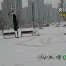 아름드리공원 이미지