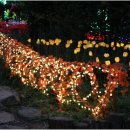 힐링관광지 주차장 이미지