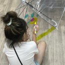 아발론랭콘잉글리쉬 이미지
