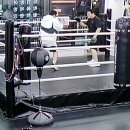 복싱바이러스 동양점 이미지