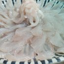 녹동항횟집 이미지