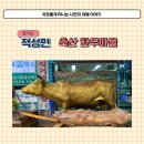 적성축산