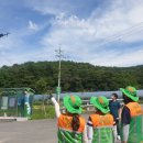 대한노인회 계룡시지회 이미지