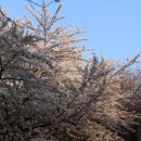 수봉양궁장 이미지