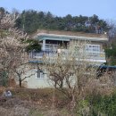 아리랑밸리켄넬 이미지