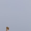 신천목장 이미지