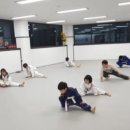 와이번 주짓수 합기도 이미지