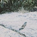 종다리공원 이미지