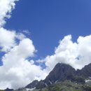 로시난테 이미지