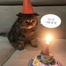 국군강릉병원 | 어느덧 50%~