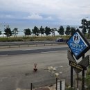 더 퍼피즈 블루오션 이미지