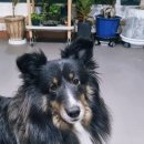 포미포밍 이미지