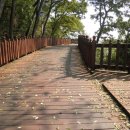 남한강자전거길 13 이미지