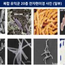 엔케이씨엘바이오그룹 이미지