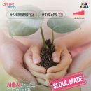 디딤돌