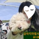 드루왈 캠핑장 이미지