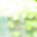 이시아이비인후과의원 이미지