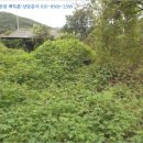 흑석축사 이미지