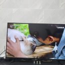 동방헬스다인(주) | 언제까지 청개구리 할 거야?