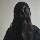 붙임머리 화니샵