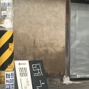 내도경로당 | 전라남도 담양 감성독채숙소 단차 내돈내산 방문 후기
