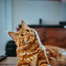 서울장내과의원 이미지