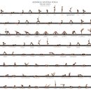 아쉬탕가 빈야사 요가 B 이미지