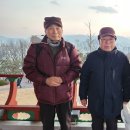 침산정 Daum카페