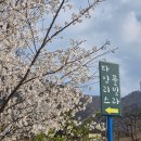 청도타임리스풀빌라 이미지