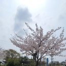 문라이트캠핑장 이미지