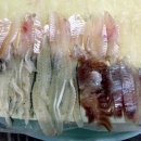 단골맛집 이미지