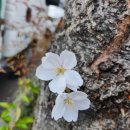 나만의 E-BOOK 만들기 이미지