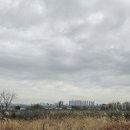 [김포] 강변 글램핑 내돈내산 후기