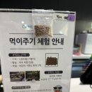 닥터피쉬 | 하남 스타필드 아쿠아카페 아이와 가볼만한곳 물고기 먹이주기 닥터피쉬 체험 후기