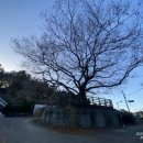 신월교(공원) 네이버블로그