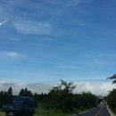 동성민박 이미지