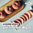 Q마트(도화상회) | 과일택배 또바기 딱딱이 복숭아 후기, 신선함과 높은 당도에 빠른 배송까지