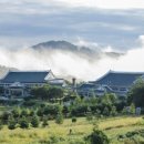 (주)아이비메디칼 이미지